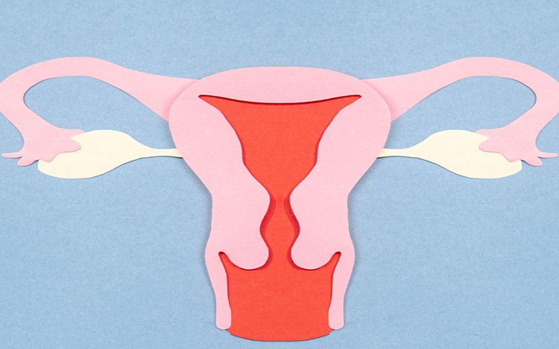 ecografia-trans-vaginale